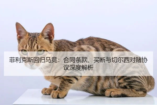 菲利克斯回归马竞：合同条款、买断与切尔西对赌协议深度解析