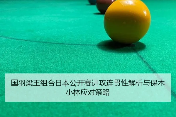 guo-yu-liang-wang-zu-he-ri-ben-gong-kai-sai-jin-gong-lian-guan-xing-jie-xi-yu-bao-mu-xiao-lin-ying-dui-ce-lve-3-446.jpg